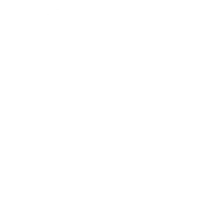White circle on a black background (decorative image).