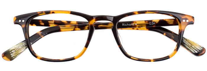 Eyes on Brickell Videre – VIDERE RICHARD Dark Tortoise