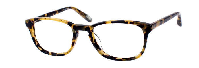 Eyes on Brickell Videre -VIDERE HAYDEN Classic Tortoise