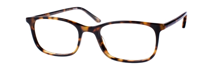 Eyes on Brickell Videre – VIDERE MICHAEL Dark Tortoise