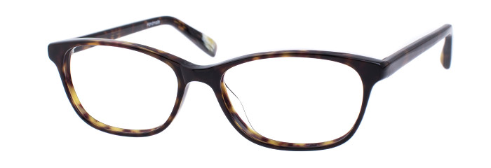 Eyes on Brickell Videre – VIDERE SASHA Dark Tortoise