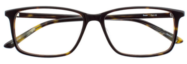 Eyes on Brickell: Videre - VIDERE SEAN Dark Olive Tortoise