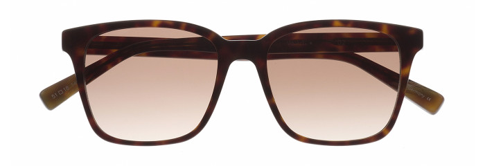 Eyes on Brickell Videre – VIDERE VALERI Dark Tortoise